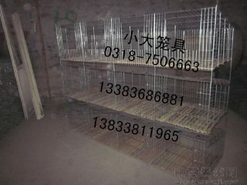 销售12位鸽笼 16位鸽笼 9位兔笼 12位兔笼 4层鸡笼 鹌鹑笼 鹧鸪笼 宠物笼 运输笼
